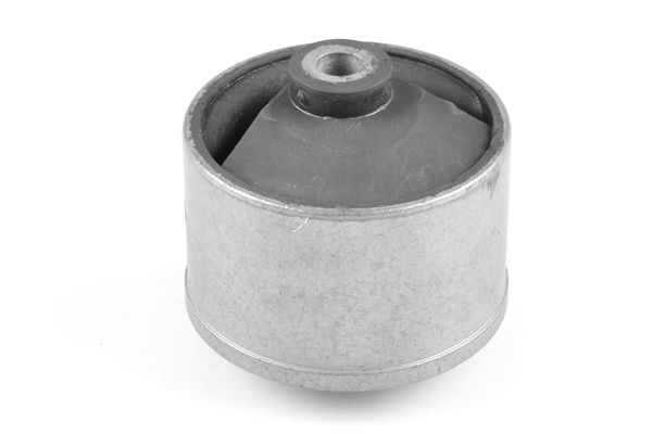 TEDGUM Uležištenje, motor