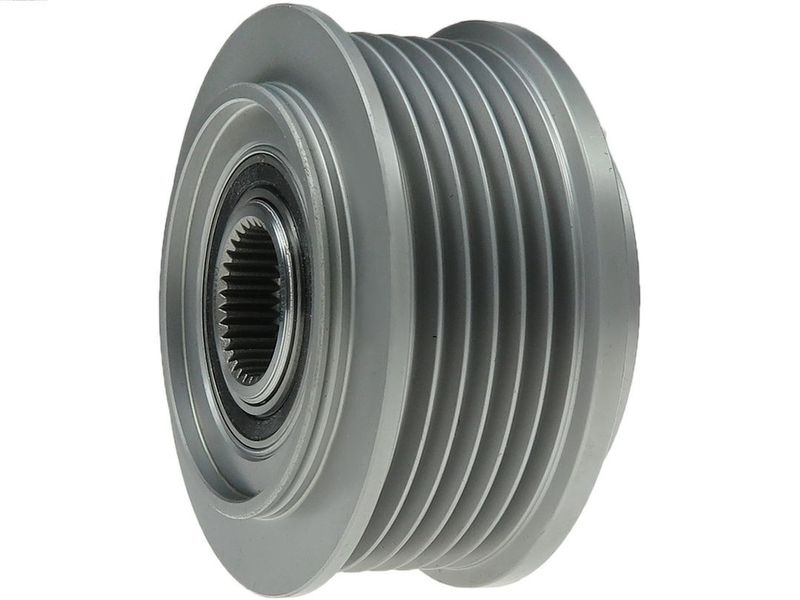 AS-PL Remenica alternatora