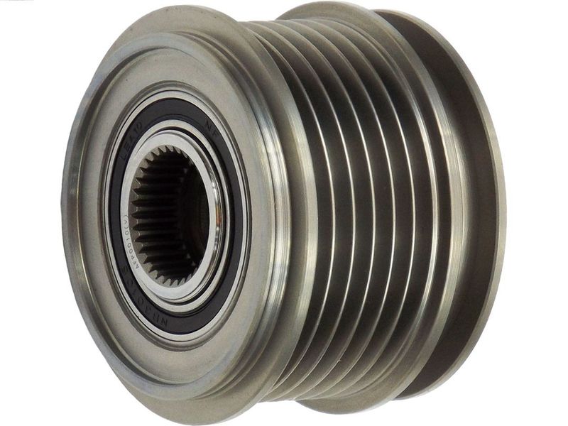 AS-PL Remenica alternatora