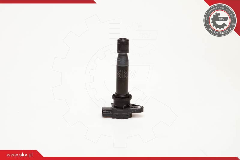 ESEN SKV Svitak za paljenje - bobina