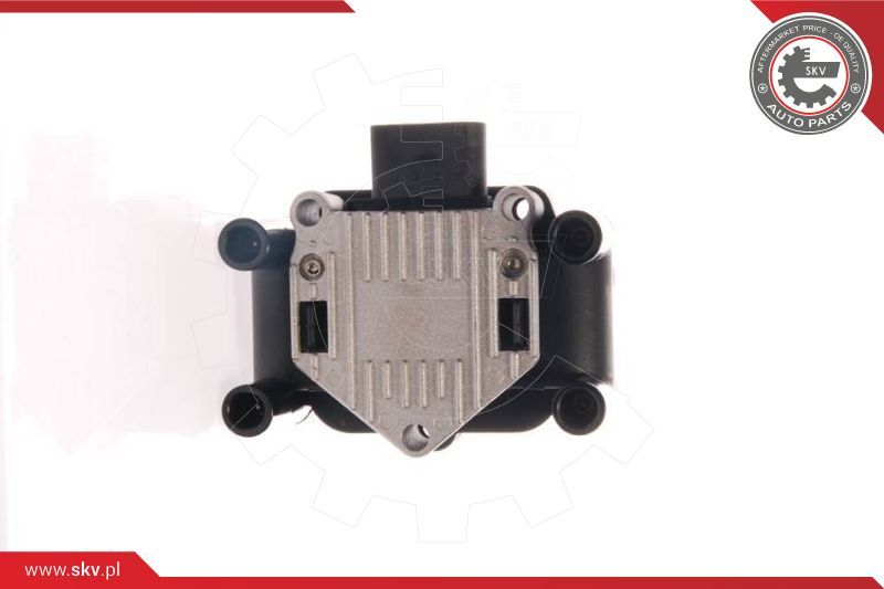 ESEN SKV Svitak za paljenje