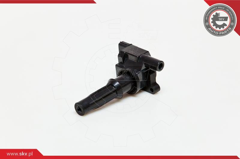 ESEN SKV Svitak za paljenje - bobina