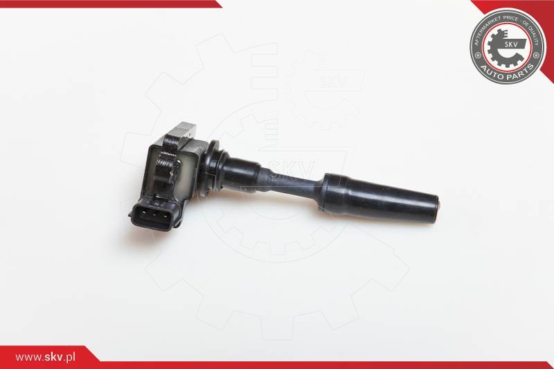 ESEN SKV Svitak za paljenje - bobina