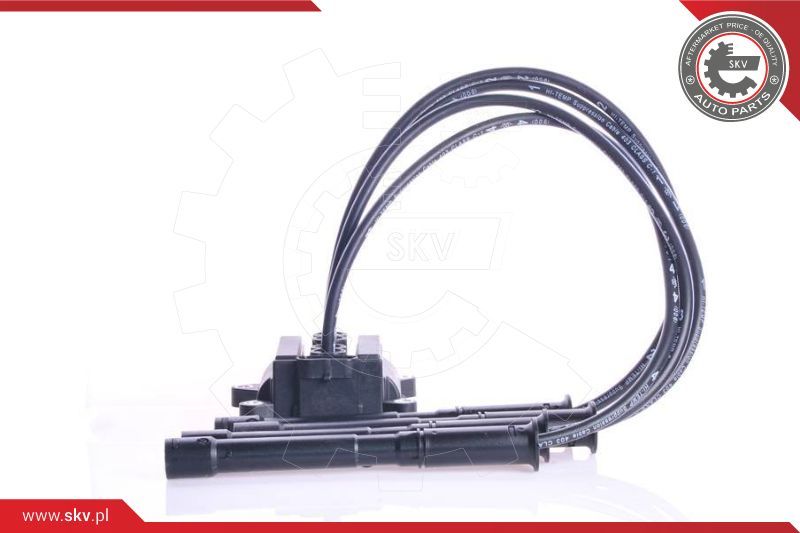 ESEN SKV Svitak za paljenje - bobina