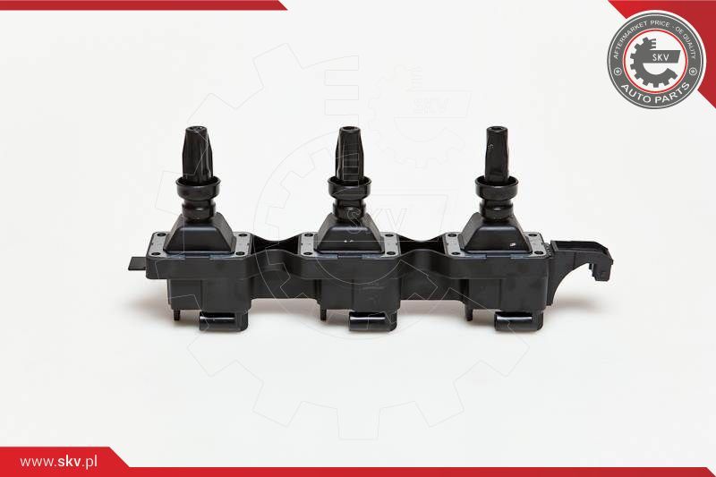 ESEN SKV Svitak za paljenje - bobina