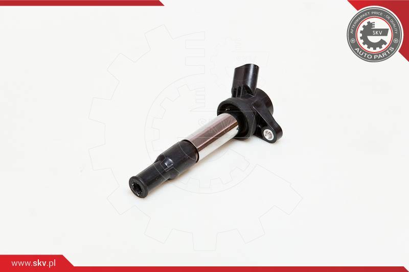 ESEN SKV Svitak za paljenje - bobina