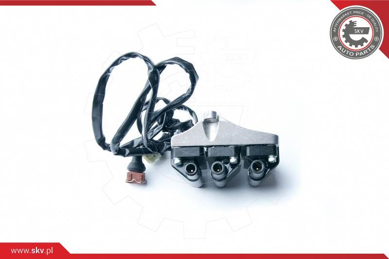 ESEN SKV Svitak za paljenje - bobina