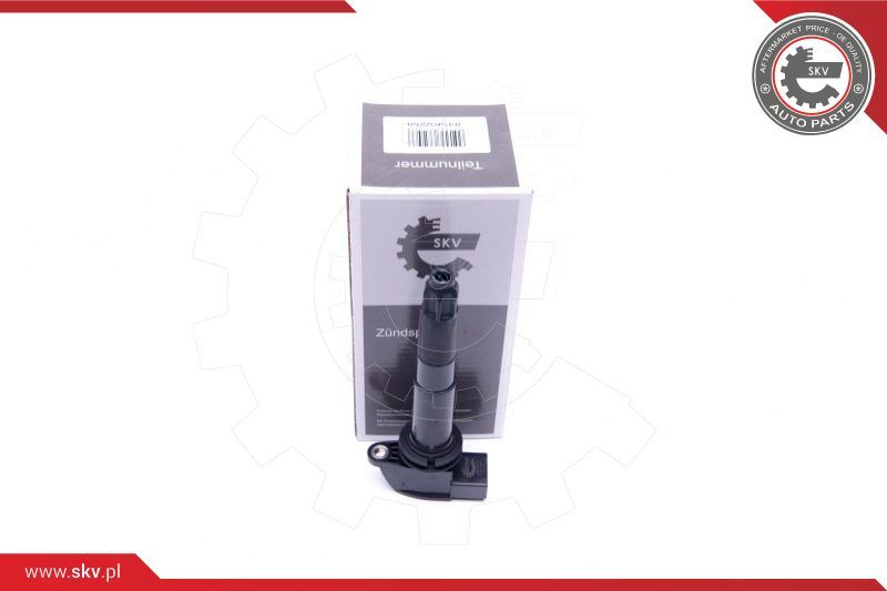 ESEN SKV Svitak za paljenje