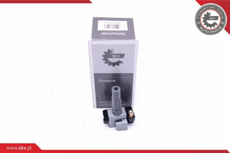 ESEN SKV Svitak za paljenje