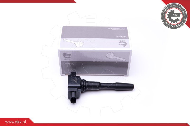 ESEN SKV Svitak za paljenje