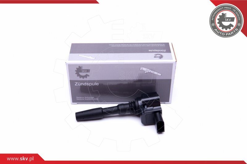 ESEN SKV Svitak za paljenje