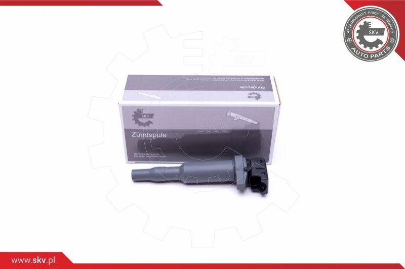 ESEN SKV Svitak za paljenje