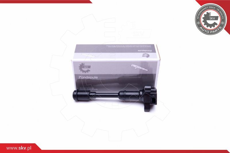 ESEN SKV Svitak za paljenje