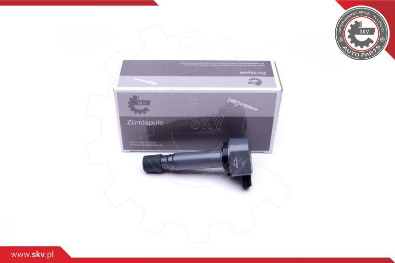 ESEN SKV Svitak za paljenje