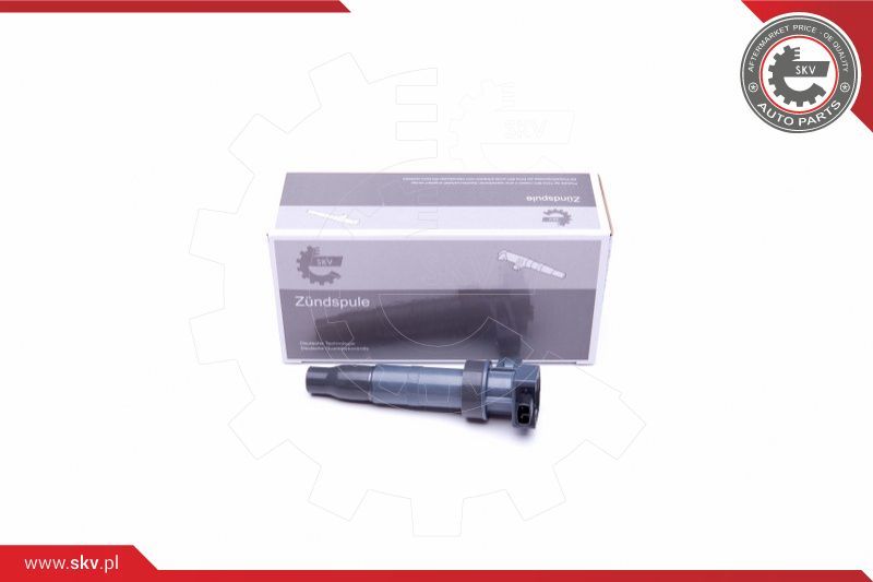 ESEN SKV Svitak za paljenje