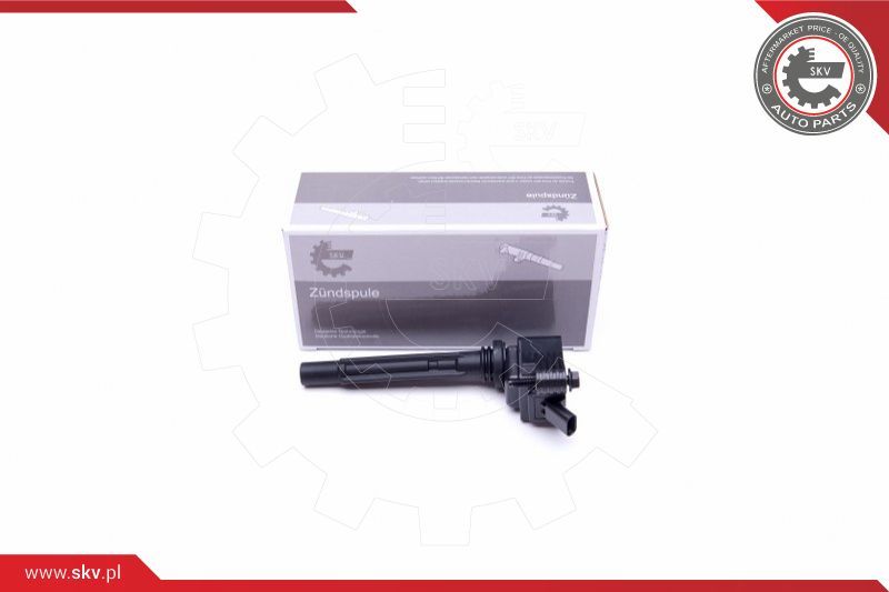 ESEN SKV Svitak za paljenje