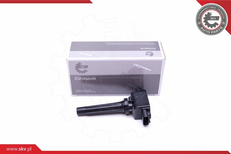 ESEN SKV Svitak za paljenje