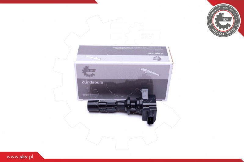 ESEN SKV Svitak za paljenje