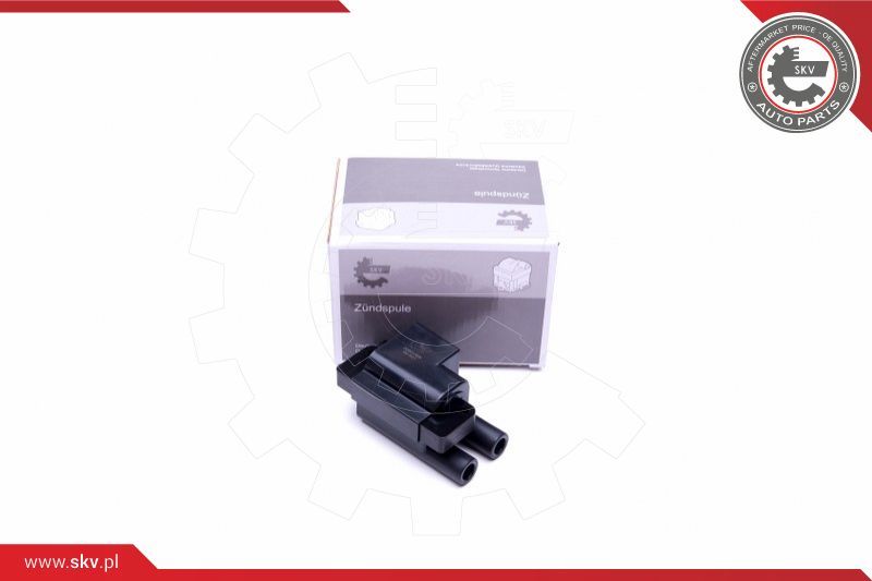 ESEN SKV Svitak za paljenje