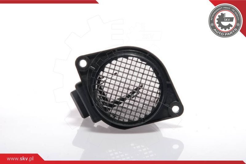 ESEN SKV Mjerač zračne mase