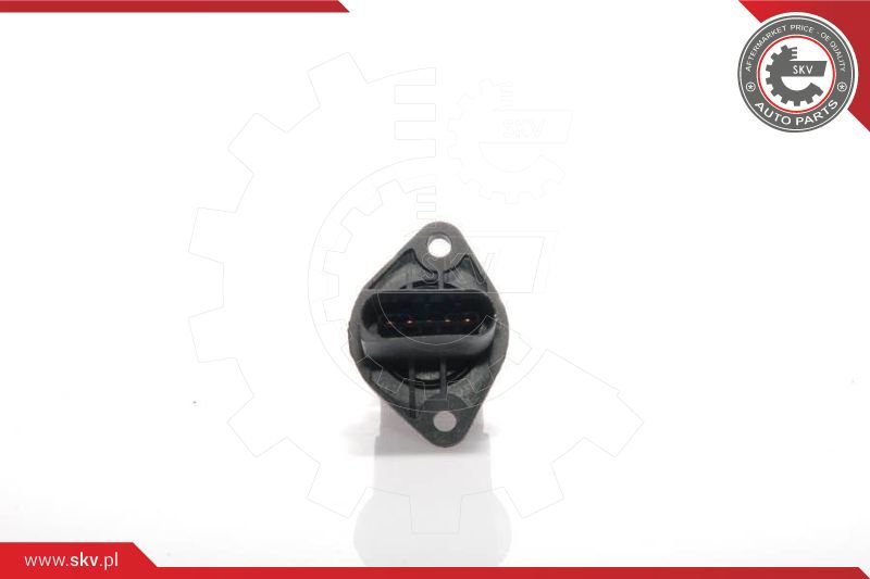 ESEN SKV Mjerač zračne mase