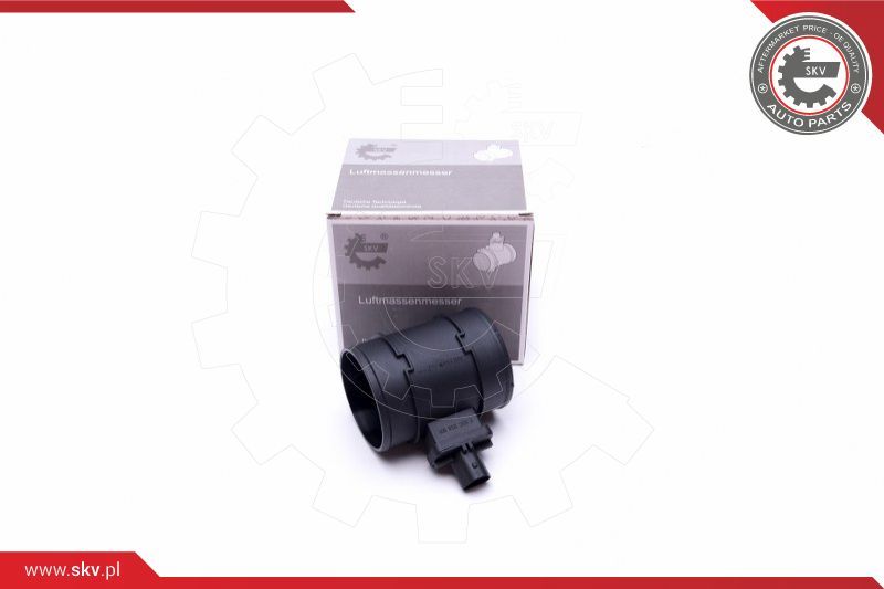 ESEN SKV Mjerač zračne mase