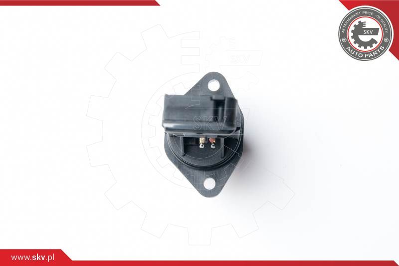 ESEN SKV Mjerač zračne mase