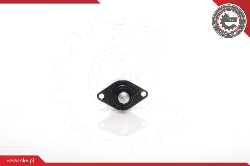 ESEN SKV Ventil za reguliranje praznog hoda, napajanje zrakom