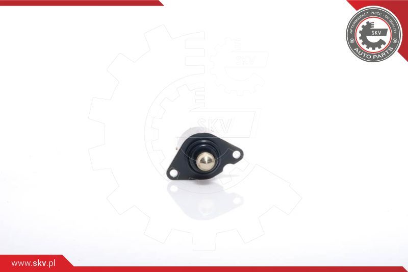 ESEN SKV Ventil za reguliranje praznog hoda, napajanje zrakom