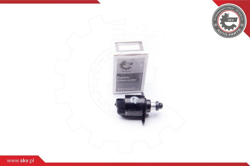 ESEN SKV Ventil za reguliranje praznog hoda, napajanje zrakom