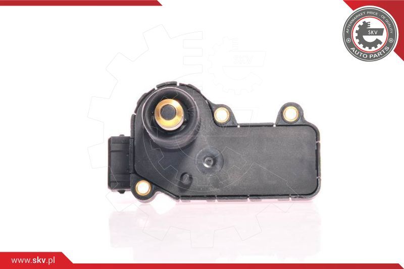 ESEN SKV Ventil za reguliranje praznog hoda, napajanje zrakom