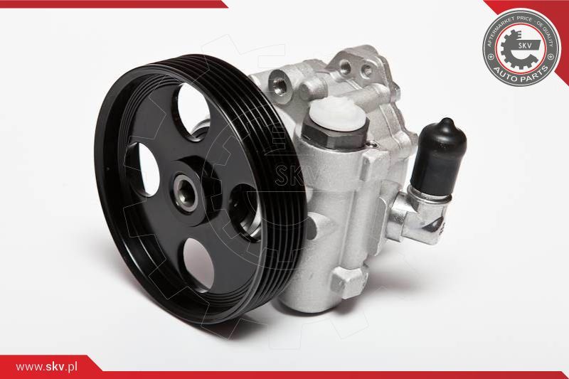 ESEN SKV Hidraulička pumpa, sustav upravljanja