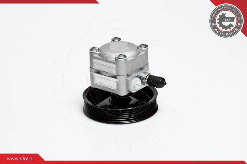 ESEN SKV Hidraulička pumpa, sustav upravljanja