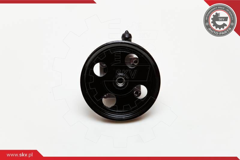 ESEN SKV Hidraulička pumpa, sustav upravljanja