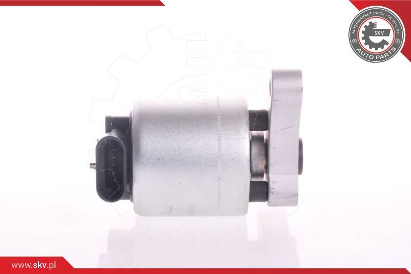 ESEN SKV AGR-ventil