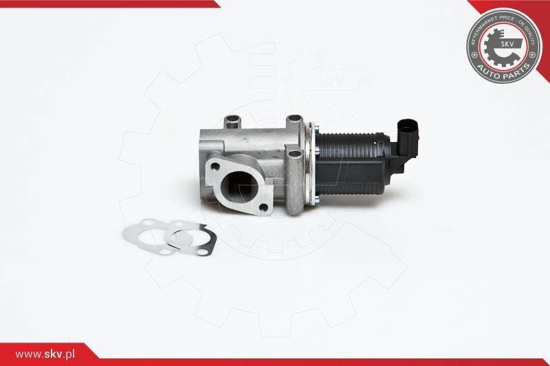 ESEN SKV AGR-ventil