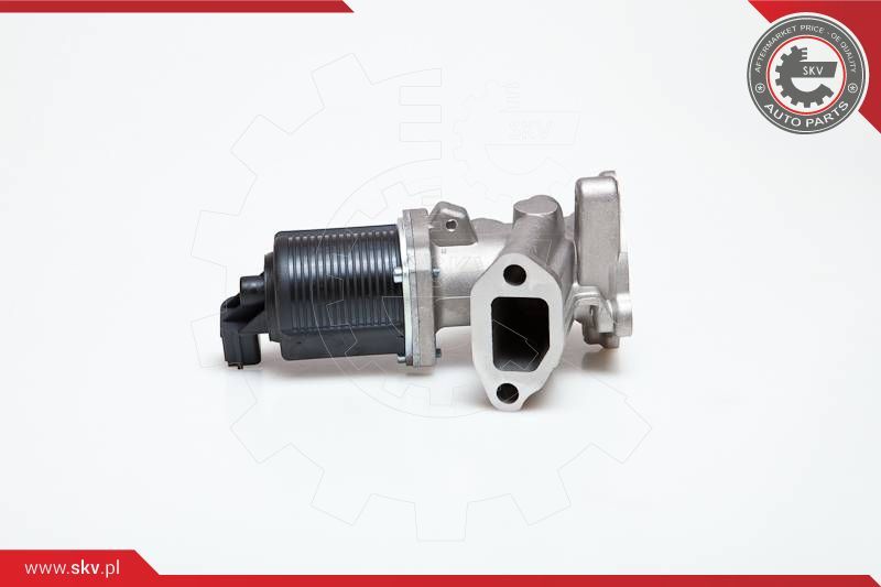 ESEN SKV AGR-ventil