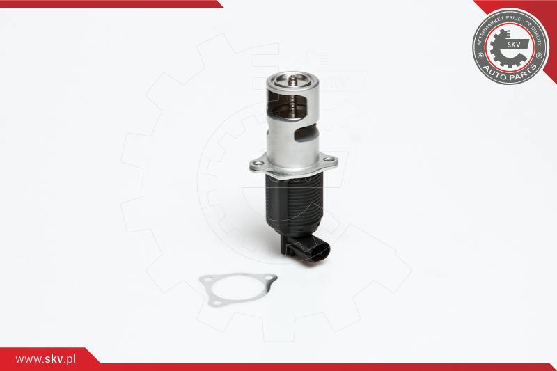 ESEN SKV AGR-ventil