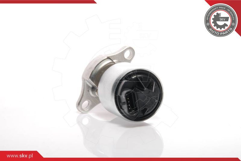 ESEN SKV AGR-ventil