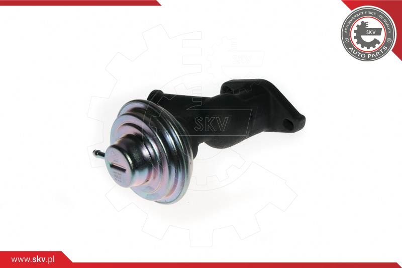 ESEN SKV AGR-ventil