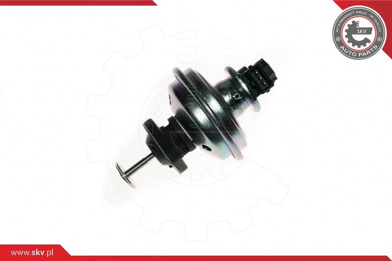 ESEN SKV AGR-ventil