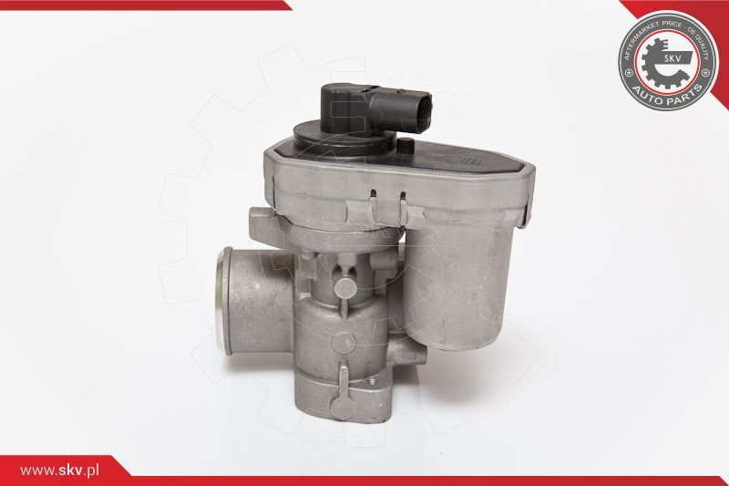 ESEN SKV AGR-ventil