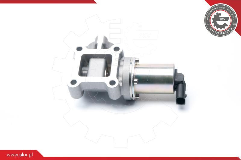 ESEN SKV AGR-ventil