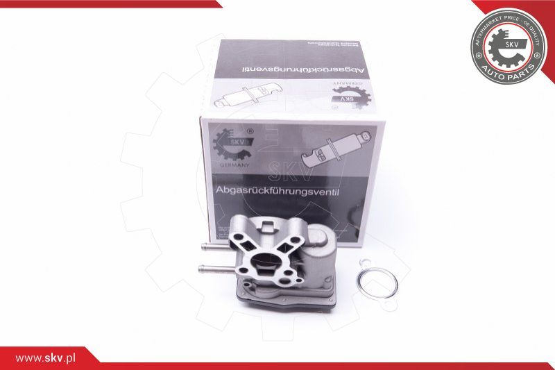 ESEN SKV EGR ventil