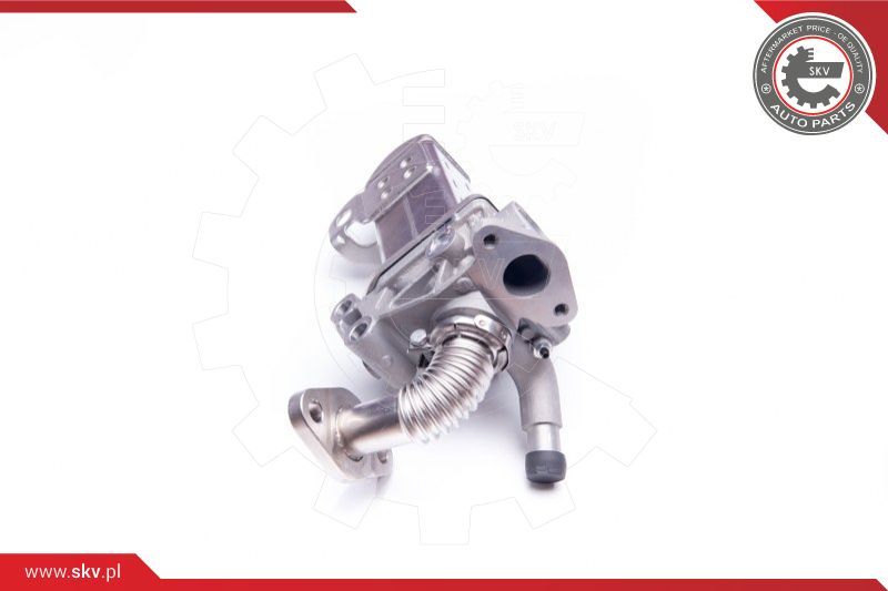 ESEN SKV EGR ventil