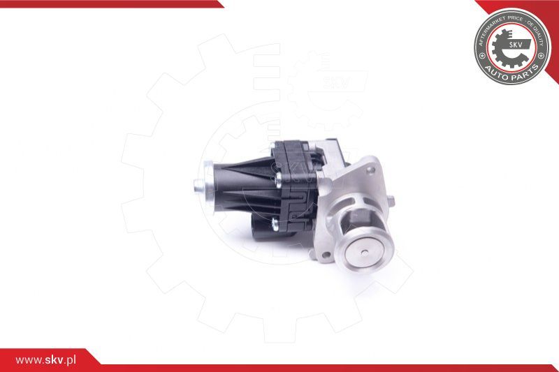 ESEN SKV EGR ventil
