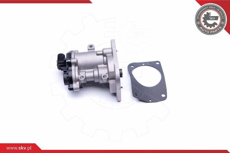 ESEN SKV AGR-ventil
