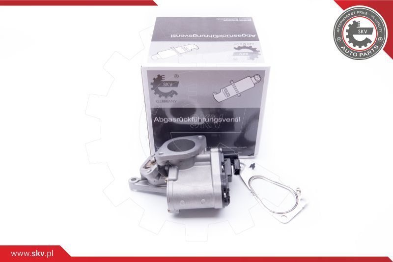 ESEN SKV EGR ventil