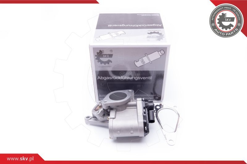 ESEN SKV EGR ventil