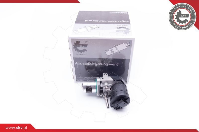 ESEN SKV EGR ventil